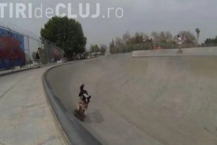 Câinele practicant de sporturi EXTREME. Vezi cum face parkour și sare cu skate-ul VIDEO