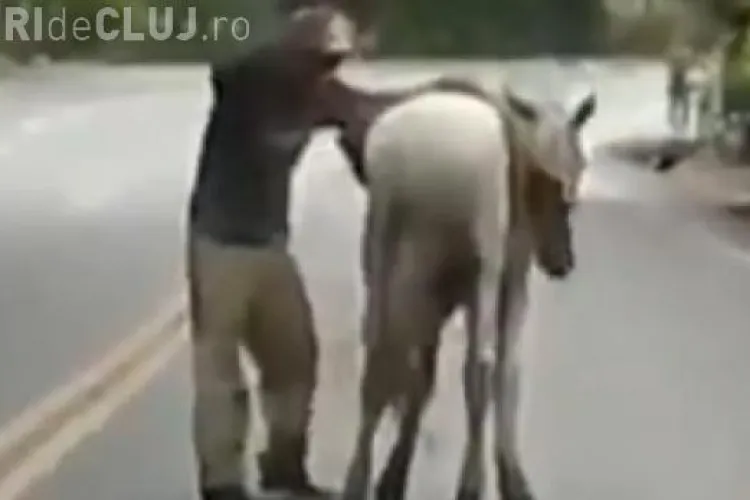 Cum încearcă un bețiv să se urce pe cal - VIDEO amuzant