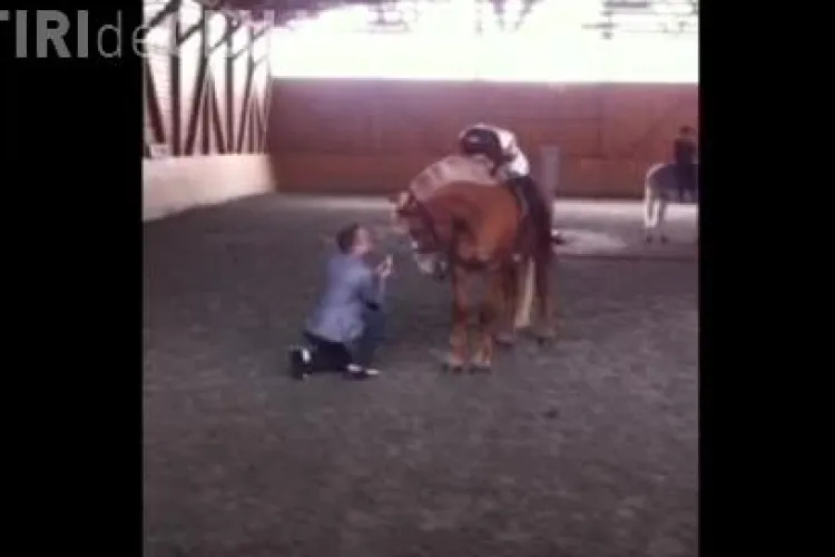 Cerere în căsătorie la Herghelia din Sălicea! Un tânăr i-a făcut o surpriză logodnicei sale - VIDEO