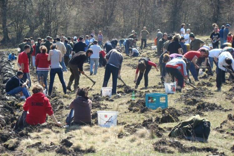 400 de stejari vor fi plantați marți, 2 aprilie, în Cheile Baciului