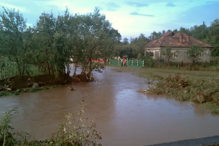 Nou COD GALBEN de ploi abundente în vestul țării