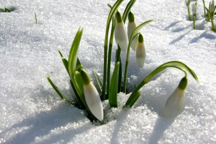 Cum va fi VREMEA în următoarele trei zile. Cresc temperaturile