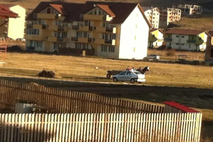 Hoții de lemne fură nestingheriți în Florești: Poliția e cu NOI