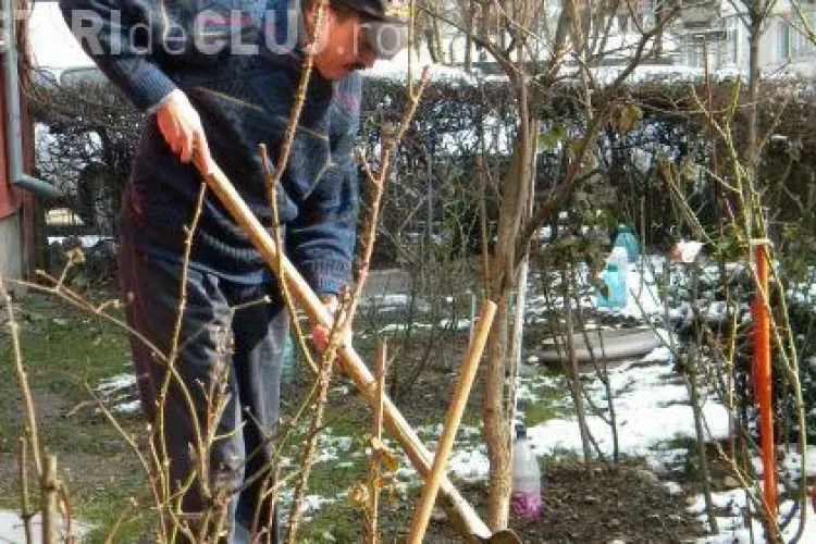 Asociaţiile de proprietari cu blocuri CURATE, premiate cu BANI de primarul Emil Boc 