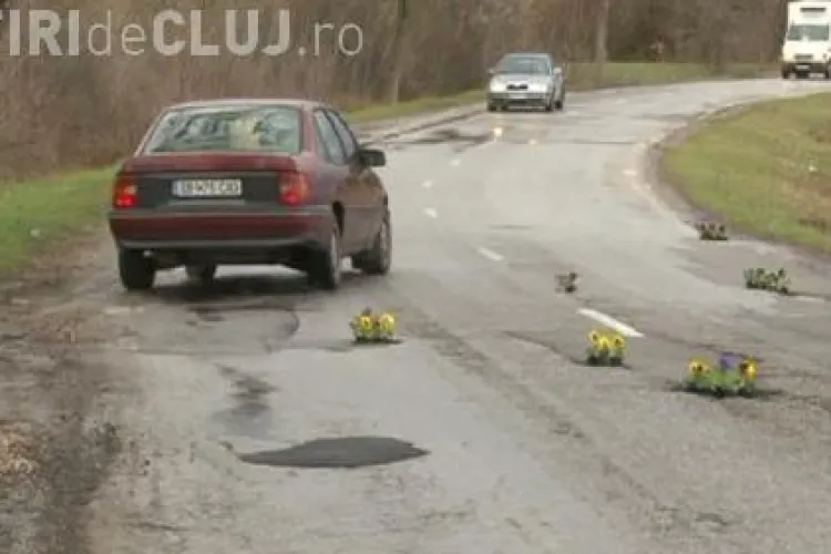 Pe un drum național cu cratere au fost plantate panseluțe - FOTO