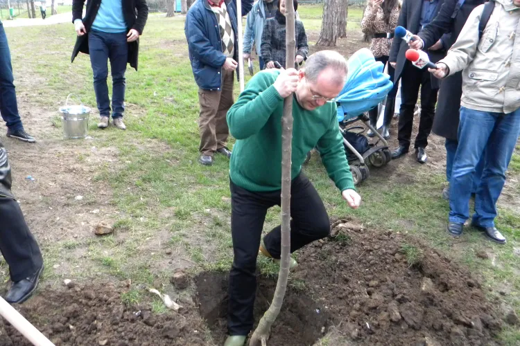 Pădurea Clujenilor va fi plantată zilele viitoare, pe Bulevardul Muncii