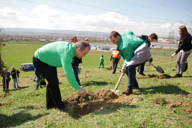 10.000 de copaci plantați în ”Pădurea Clujenilor”, de la capătul Bulevardului Muncii - Galerie FOTO