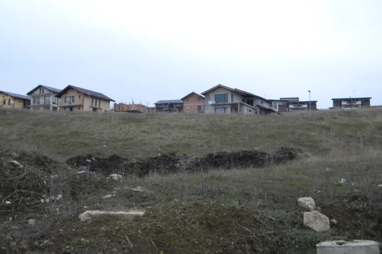 Dan Mitre, șoferul care a intrat cu Jeep -ul într-o turmă de oi din Cluj-Napoca, este un afacerist - fiu de profesori universitari