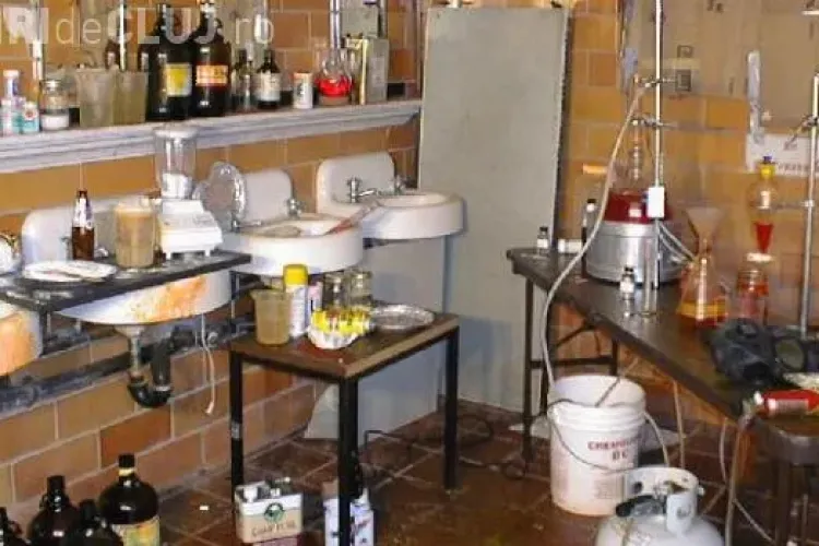 Laborator de etnobotanice, descoperit la Cluj: Au fost confiscate 20 kilograme de droguri ușoare