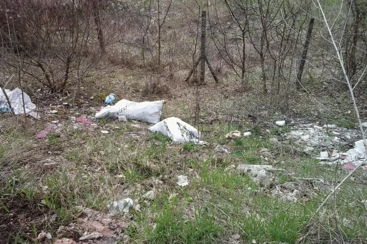 Remus Lăpușan: Emil Boc trebuie să se trezească și să administreze Clujul - FOTO