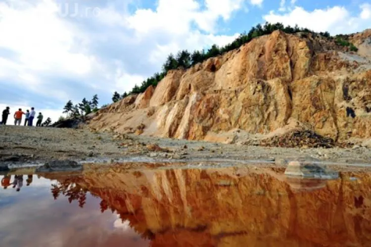 Rovana Plumb: Guvernul vrea desecretizarea licenţelor Roşia Montană