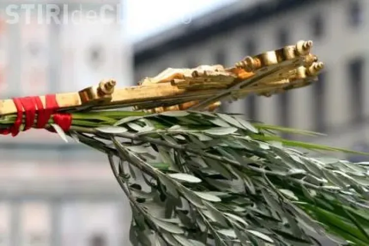 Tot ce nu știai despre Florii