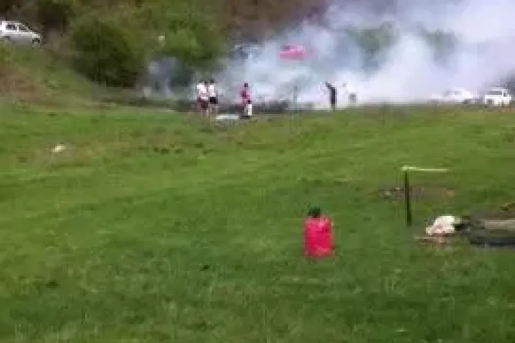 Au ieșit la Făget, dar au dat foc la câmp: ”Clujenii sunt foarte necivilizați” - VIDEO