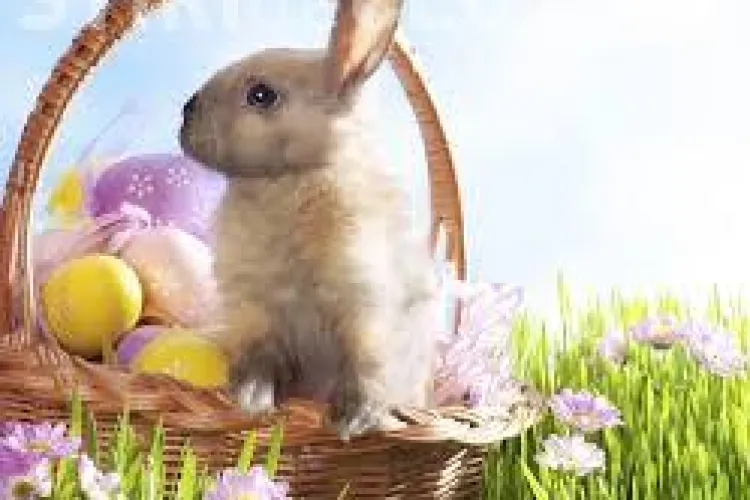 Mesaje haioase de Paşte. Ce urări "cool" pot fi  trimise prin SMS