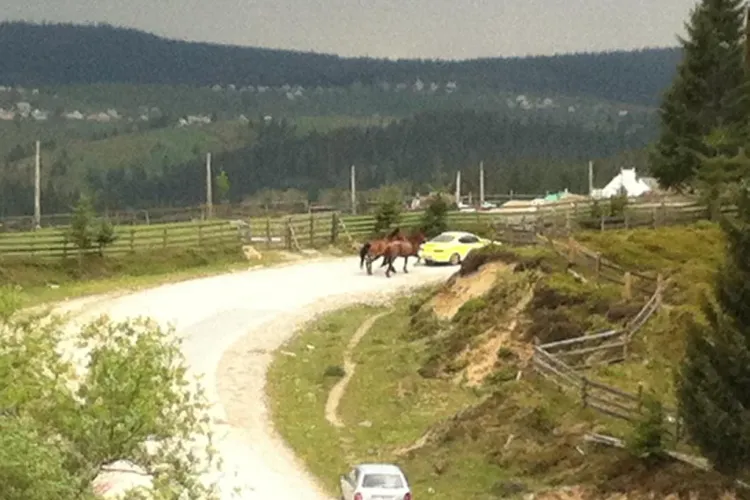 Și-a legat caii la Mazda și i-a tras după mașină prin Mărișel - VIDEO