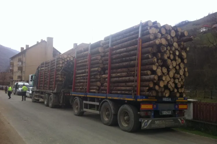 Camioane cu lemne furate, sechestrate de localnici la Măguri Răcătău - FOTO