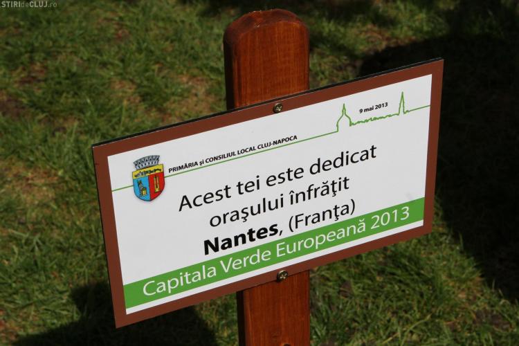 Tei plantat în Parcul Central pentru celebrarea relației Cluj-Napoca - Nantes - FOTO
