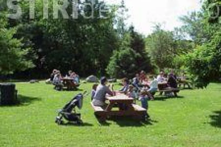 STUDIU IRES: Doi din zece români pleacă undeva de 1 mai