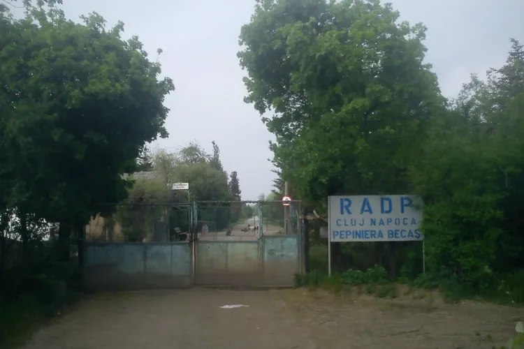 Defrișări la cartodromul din Gheorgheni, unde Primăria Cluj-Napoca amenajează un parc - FOTO