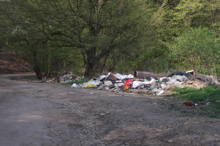 PSD Cluj atrage atenţia că oraşul Cluj-Napoca devine "Oraşul Gunoaielor" - FOTO