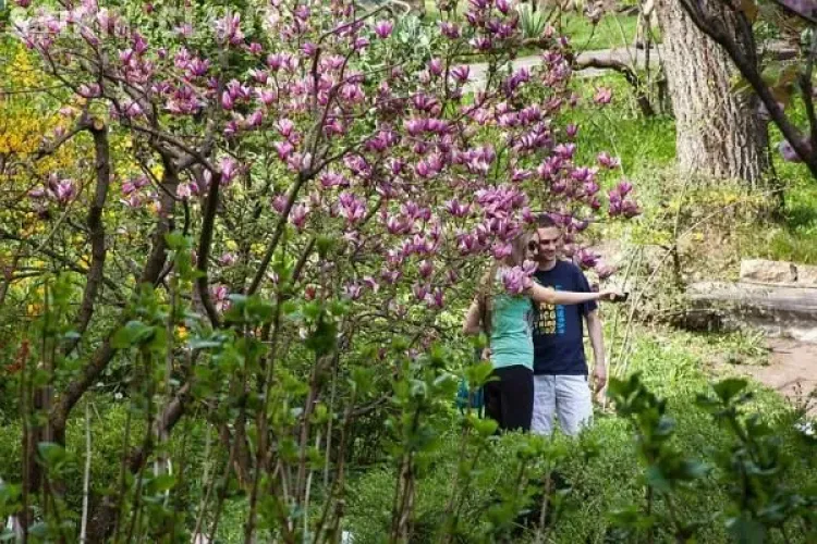Flower Power în Grădina Botanică. Cea mai frumoasă lună din an e luna MAI - FOTO