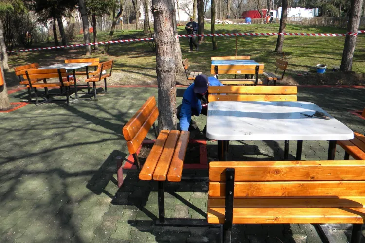 Hoții resimt criza economică: Cișmeaua din Parcul Detunata a fost furată