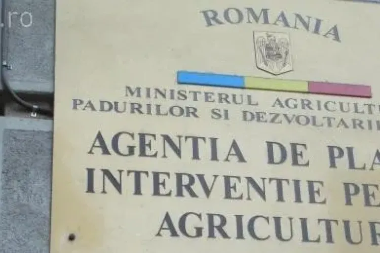 Penalizări pentru cererile de finanțare APIA depuse după 15 mai