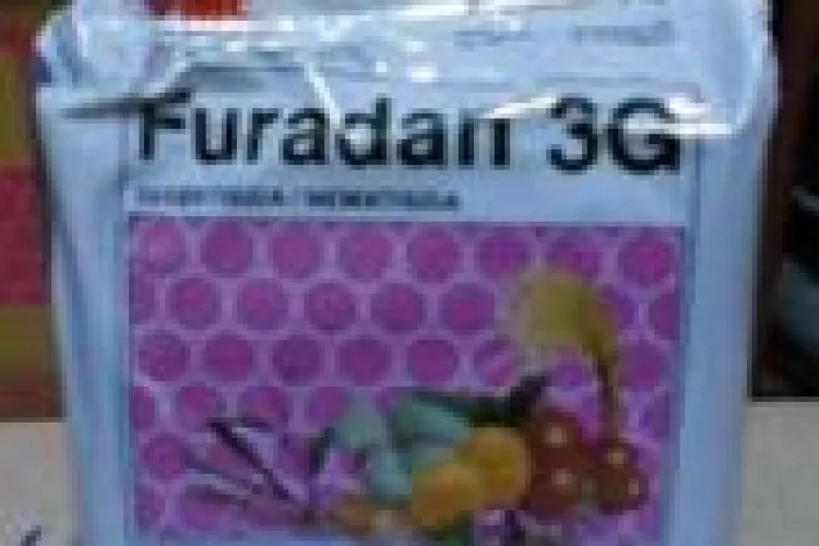 Vanzatorul Fudaran -ului cu care Madalina Manole s-a sinucis a disparut din tara 