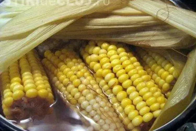 Primaria Cluj-Napoca: "Nu cumparati porumb fiert de pe strada!"