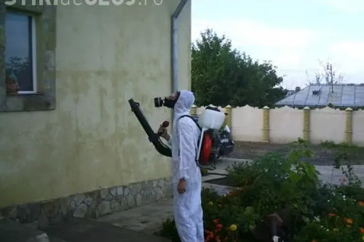 Dezinsectia continua in Cluj-Napoca in perioada 2-18 august