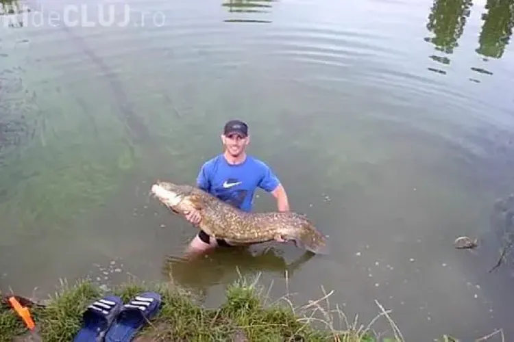 Somn monstru de 26 de kg, prins in lacul din Gheorgheni! Pescarii au eliberat pestele dupa fotografiile de rigoare - VIDEO si FOTO