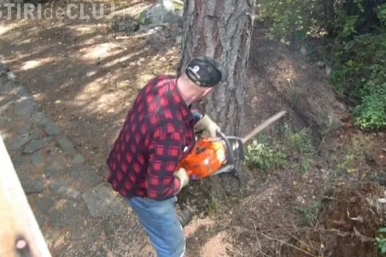 200 de job -uri pentru români în Austria. Salariile sunt de 1.300 de euro