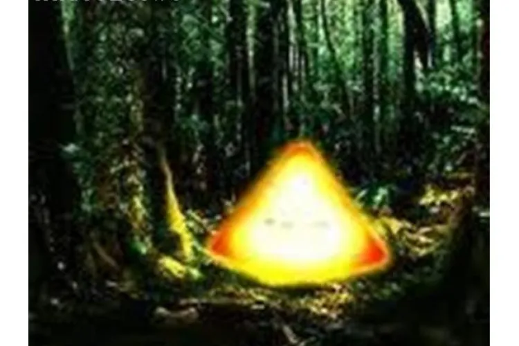 Adrian Pătruţ despre pădurea Hoia - Baciu: ”Am văzut cu ochii mei ruinele, apoi s-au VOLATILIZAT chiar şi din poze”