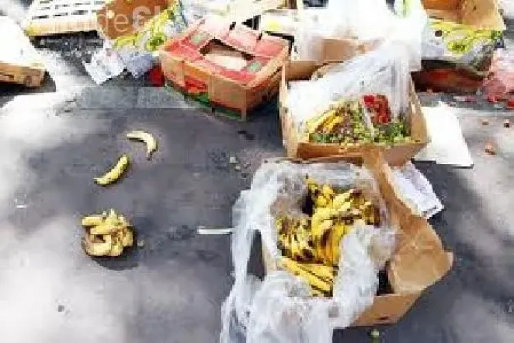 Rovana Plumb atrage atenția că România risipeşte cinci milioane de tone de alimente