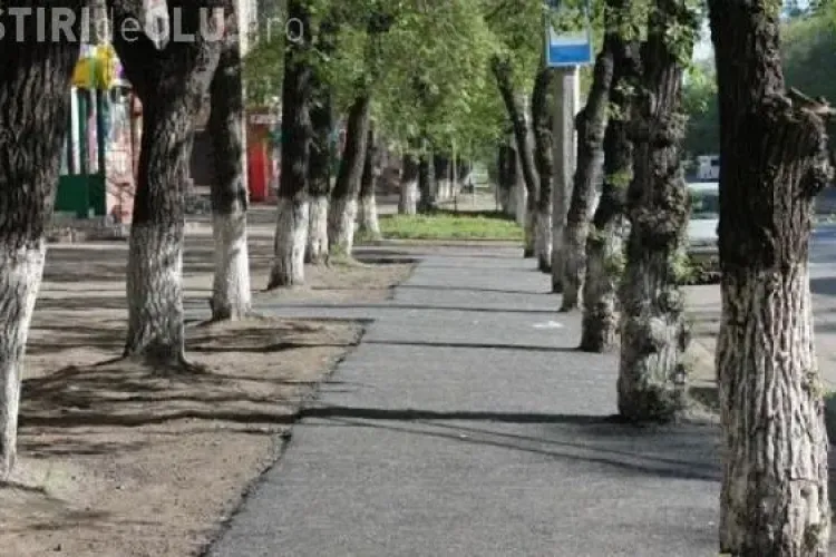 ”Dorel” lovește și în Rusia. Vezi ce gafă au făcut muncitorii FOTO