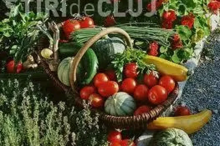 Topul remediilor alimentare pentru cele mai comune afecțiuni