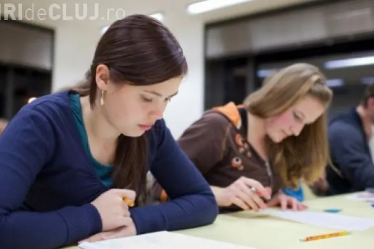 BACALAUREAT 2013 - LIMBA ROMÂNĂ SCRIS. Subiecte: George Călinescu şi Mihail Sebastian