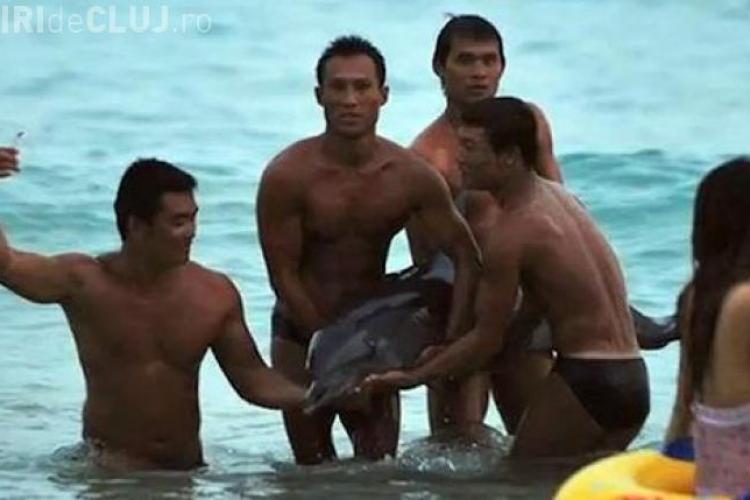 Oameni fără minte! S-au fotografiat cu un delfin rănit - FOTO