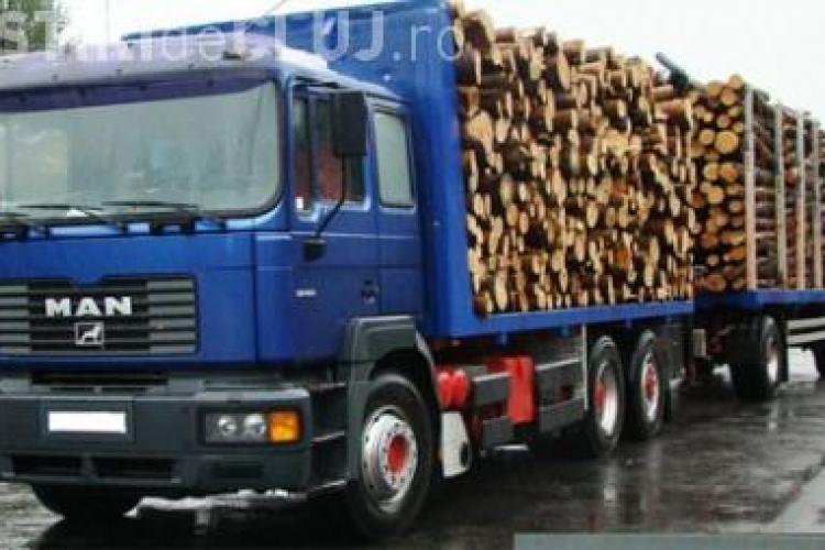 Poliția Cluj a confiscat lemne în valoare de 800.000 de lei
