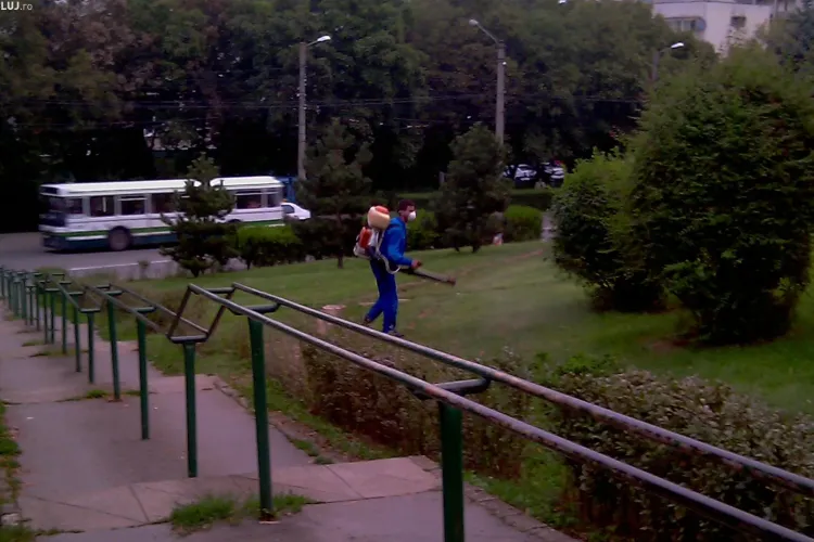 Un clujean vrea banii pe cină înapoi de la Primărie. Bărbatul susține că a fost otrăvit în timpul dezinsecției 