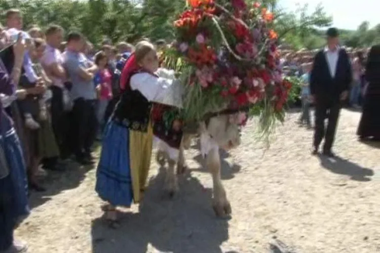 Ceremonia de ”împănare a boului” la Parcul Etnografic ”Romulus Vuia” în weekend