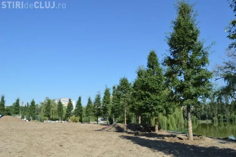 240 de camioane cu arbori, sol vegetal special au ajuns la Cluj pentru amenjarea parcului de lângă Iulius Mall - FOTO