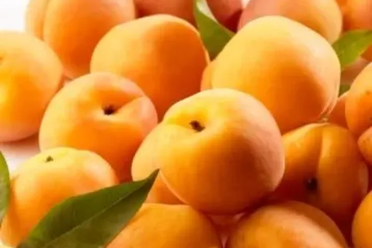 Beneficiile neașteptate ale sâmburilor de caise