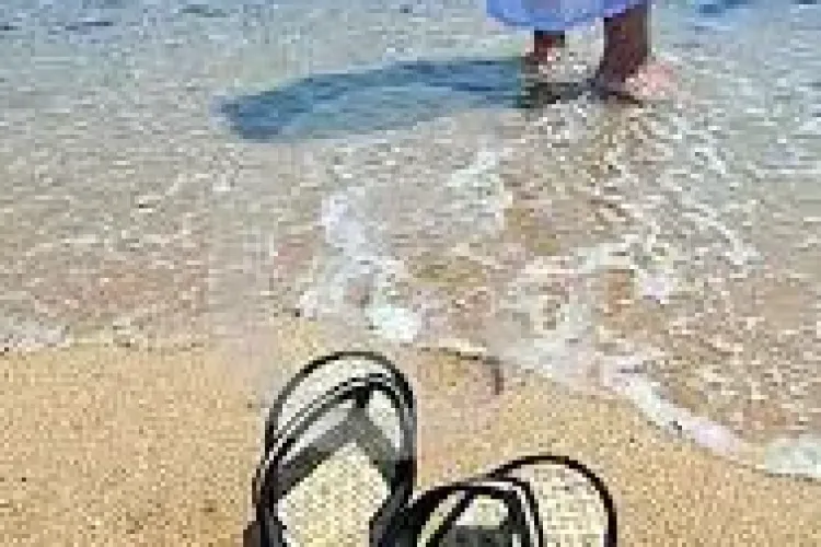 Ce boli pot cauza şlapii. Recomandările specialiștilor