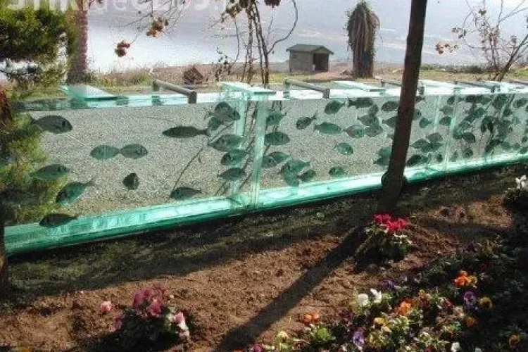 Ultima modă din Turcia. În loc de gard și-a pus un acvariu cu peşti şi caracatiţe - VIDEO