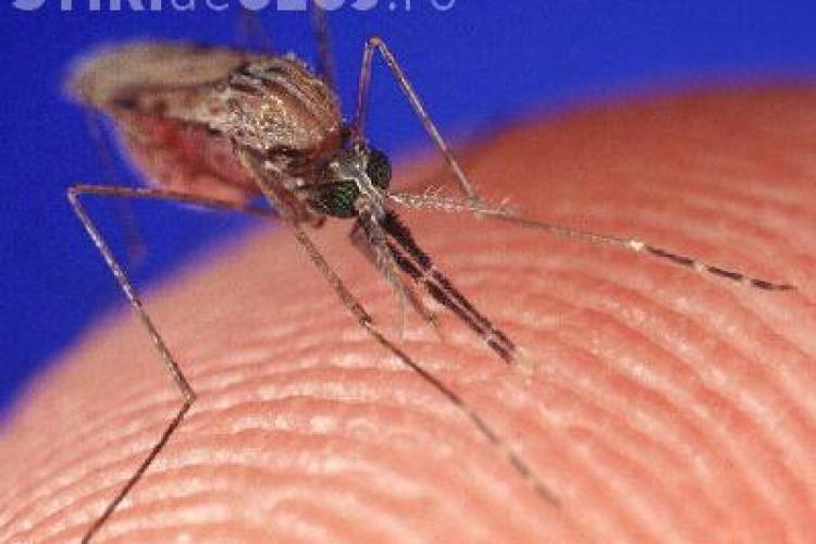 Invenția care te face invizibil pentru țânțari VIDEO