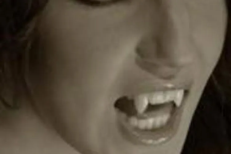 Top 10 cele mai ciudate cereri pentru viză: Vreau în România ca să vânez vampiri