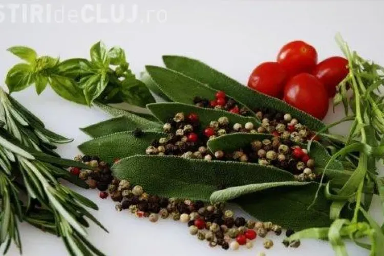 Dieta cu ierburi aromatice: Cum să slăbești rapid și ușor