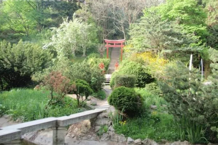 ”Noaptea alba” la Gradina Botanica din Cluj în luna august