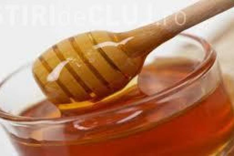 Un nou tip de miere înlocuiește cu succes antibioticele